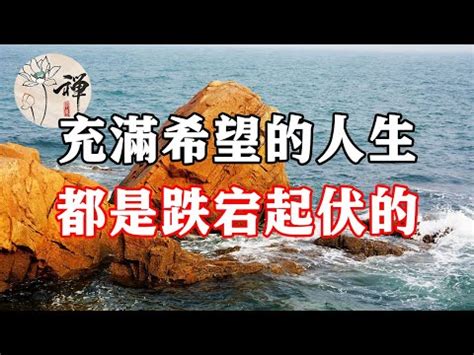 起伏 意思